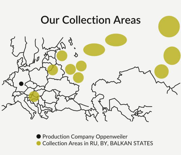 Infografik - Website_KOPIE-Seite003